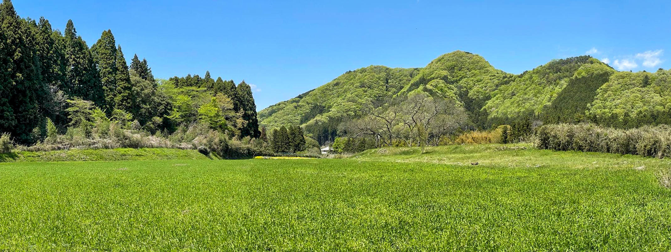 建設予定地（現況）.jpg